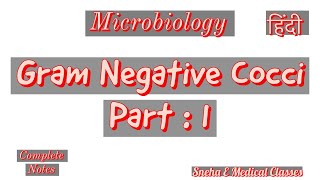 Gram Negative Cocci  Part 1 Microbiology in Hindi [upl. by Etyak]