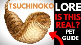 Tsuchinoko Monster Hunter World Tsuchinoko MHW Rare Pet Guide [upl. by Garner452]