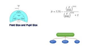 Field Size and Pupil Size [upl. by Amiaj]