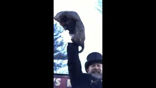 Punxsutawney Phil Predicts Six More Weeks of Winter on Groundhog Day [upl. by Nosnek247]