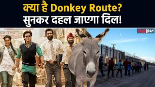 What is Dunkis Donkey Flight story How do people immigrate with the Donkey Process FilmiBeat [upl. by Idham]