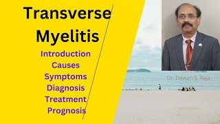 Transverse Myelitis [upl. by Ayaet]