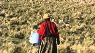 Sunimarca comunidad rural andina en Ayaviri Puno  Perú [upl. by Eustis]