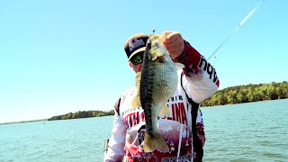 Top College Anglers Catching Lake Hartwell Bass on Day 1 of the Hartwell Slam [upl. by Lladnor916]