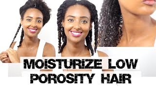 How to Moisturize Dry Low Porosity Natural Hair [upl. by Siuoleoj609]