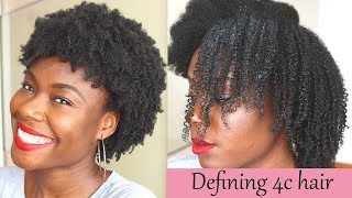 Defined curls on 4c natural hair using the LOC method no gel [upl. by Darrell]