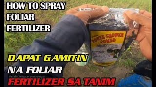 HOW TO SPRAY FOLIAR FERTILIZER  Paano ang Pag Spray ng Foliar Fertilizer [upl. by Aicilak]