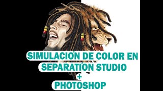 COMO HACER SIMULACION DE COLOR PARA SERIGRAFIA  SEPARATION STUDIO  PHOTOSHOP [upl. by Beniamino]