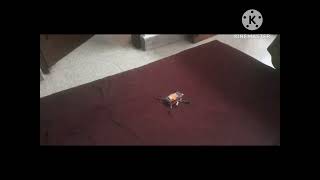 DIY ARDUINO DRONEDRONE [upl. by Minsat]