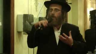 Isaac Honig Sings At Sheva Brachos [upl. by Yttam]