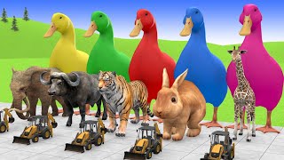 Long slide game with cow gorilla buffalo elephant tiger cat  3d animal game  funny 3d animals [upl. by Jar]