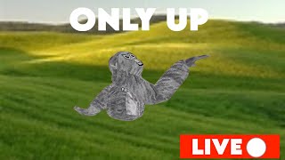 GORILLA TAG LIVE NEW UPDATE [upl. by Reerg]