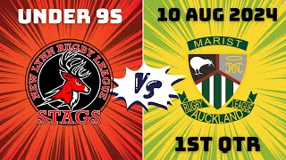 Under 9s New Lynn Stags vs Marist  1st Qtr 10 August 2024 [upl. by Moser]