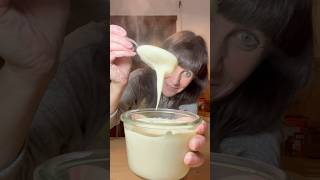 FRENCH BECHAMEL SAUCE alychalloner recipe cooking chef bechamel shorts cookingshorts [upl. by Hgalehs823]