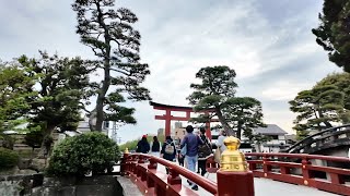 JAPAN KAMAKURA KOMACHI ST amp TSURUGAOKA SHRINE [upl. by Ennaxor369]