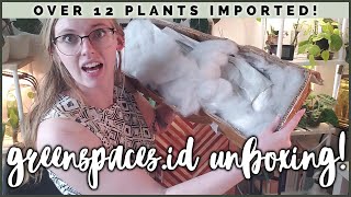 I ordered from GREENSPACESID AGAIN 10 Houseplant Unboxing  Disappointment amp Excitement [upl. by Anisamoht]