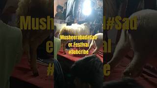 MusheerabadSader Festival 2024 Bullsubscribe [upl. by Lihka]