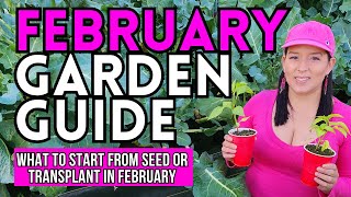 February Garden Guide What To Start From Seed Or Plant NOW garden gardeningtips vegetablegarden [upl. by Ynohtnaleahcim906]