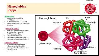 Hemato 05Anémies Hémolytiques congénitales Betathalassémie Dr Abbadi [upl. by Nairred]
