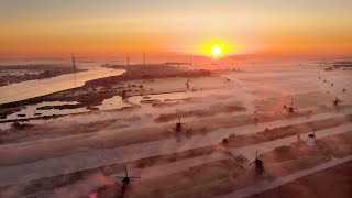 Zonsopkomst bij molens Kinderdijk en De Schans in de nevel  drone 4K [upl. by Trici]