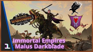 Immortal Empires Malus Darkblade Total War Warhammer 3 [upl. by Celio854]