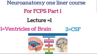 Neuroanatomy one liner course FCPS part 1Lecture 1neuroanatomy for fcps 1neuroanatomy lectures [upl. by Enilehcim]