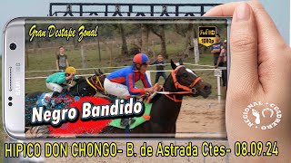 NEGRO BANDIDOGran destape Hipico Don Chongo Beron de Astrada Ctes 080924 [upl. by Terrel]