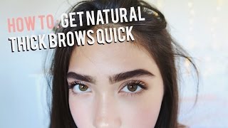 How To Grow Eyebrows FAST Thick amp Natural [upl. by Akirrehs]