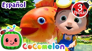 ¡Los peces cantan juntos  CoComelon y los animales 🍉 Dibujos animados para niños [upl. by Kcolttam872]