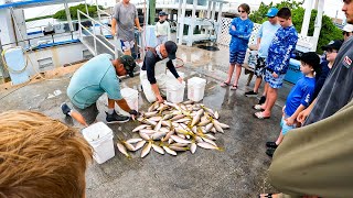 148 Yellowtail Snapper Miss Islamorada Headboat Fishing Trip with “Mission Fishin” [upl. by Oflodor]