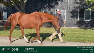 Hip 3048  Hopelands  Broodmare by Curlin IF to Corniche [upl. by Jarin]