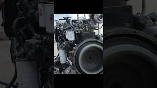 Most beautiful Revving Engine Sound  Engine Startup Sound trending automobile trendingshorts [upl. by Hadihahs614]