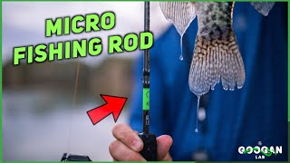 The Perfect MICRO Light Fishing ROD for MULTI SPECIES  Fishing Tips [upl. by Atsahs]