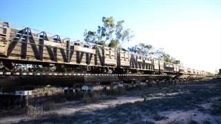 Quilpie Cattle 67S9 060816 [upl. by Teagan]