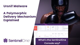 Ursnif Malware  A Polymorphic Delivery Mechanism Explained [upl. by Linders834]