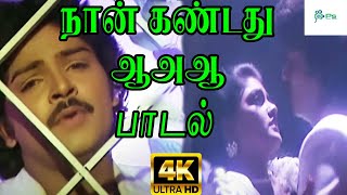 நான்கண்டது ஆஅஆ பொய் நாடகம் ஆஅஆ  Naan kandathu Poi naadagam  Kadhal Soga Padal  SPB  HD [upl. by Guthry]