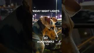 Skyhawks win again beagletales football fridaynightlights [upl. by Bluh]