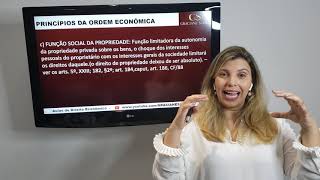 PRINCÍPIOS DA ORDEM ECONÔMICA [upl. by Neenahs]