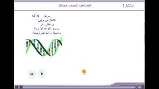 تضاعف ADN [upl. by Annoerb41]