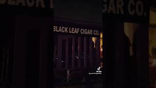 Black Leaf Cigars Street Feature Live with Courtney P [upl. by Midge]