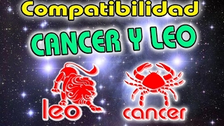 Compatibilidad De Cancer Y Leo En El Amor 2023  COMPATIBLES CANCER LEO 2023 [upl. by Larissa926]