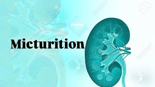 Micturition urinary system [upl. by Rehpotsirhcnhoj783]