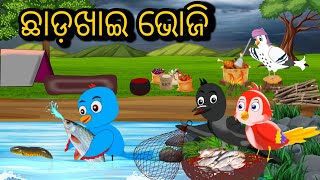 ଛାଡଖାଇ ଭୋଜି  Chhadakai Bhoji  Tiki Chadhei Odia Gapa Chadhei gappa Odia Bird Story Odia Stories [upl. by Carlos860]