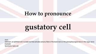 How to pronounce gustatory cell  meaning [upl. by Kostival]