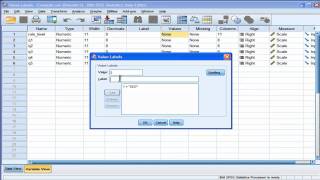 Value Labels  SPSS [upl. by Annissa]