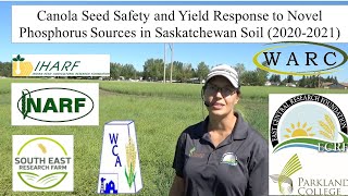 Novel Sources of P for Canola 2022 [upl. by Cela76]