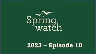 Springwatch 2023 Episode 10 [upl. by Ahsirt624]