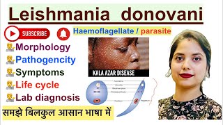 Leishmania donovani Parasite in Hindi  Life cycle  Lab diagnosis  Haemoflagellate [upl. by Elokcin]