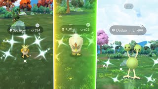 NEW FLOCK RESEARCH DAY EVENT IS FINALLY HERE Shiny BOOSTED Bird Tasks  NEED Shiny Rufflet [upl. by Yart]