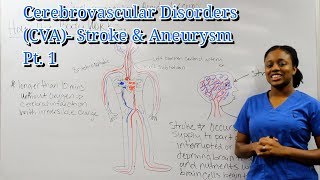 Medical Surgical Neurological System Cerebrovascular Disorders Pt 1 [upl. by Fried]